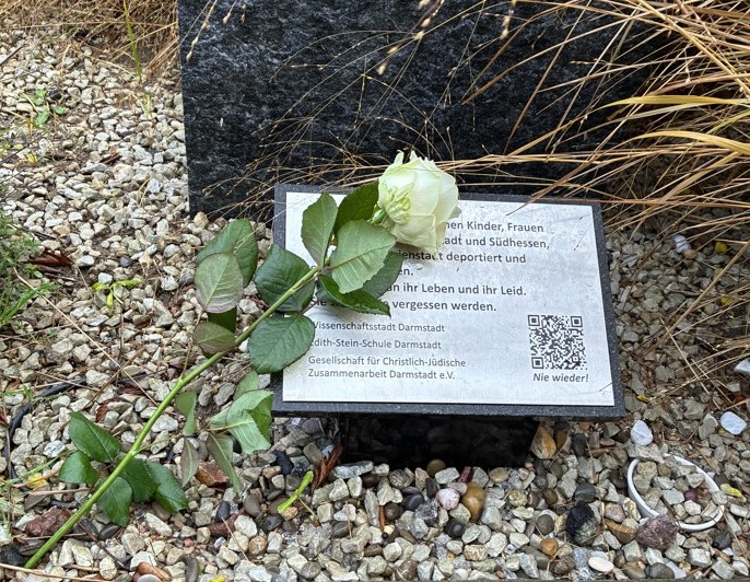 Rose auf Gedenkstein